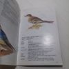 Picture of Know Your New Zealand Birds