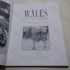 Picture of Wales of One Hundred Years Ago