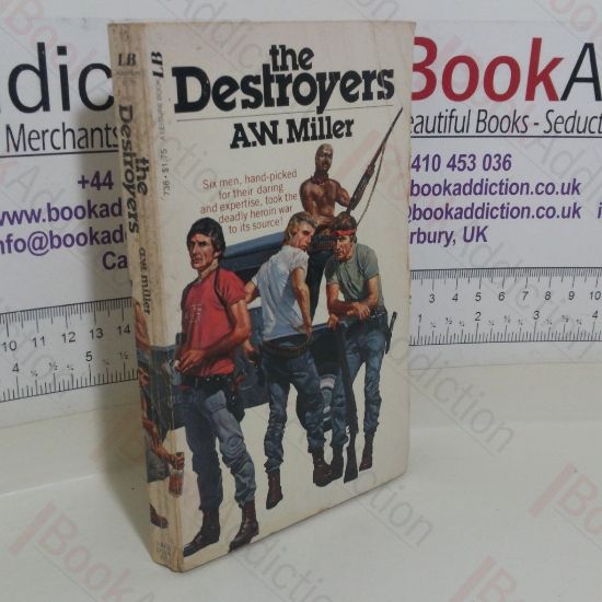 Picture of The Destroyers