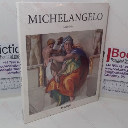 Picture of Michelangelo