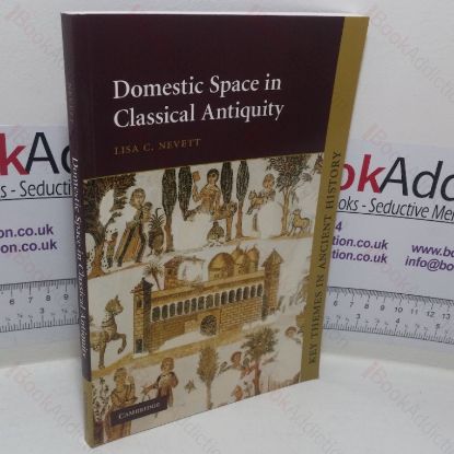 Picture of Domestic Space in Classical Antiquity (Key Themes in Ancient History series)