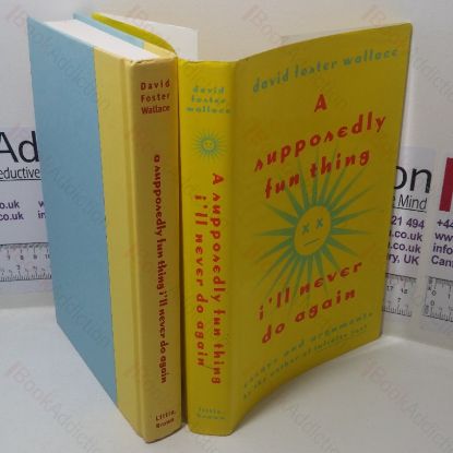 Picture of A Supposedly Fun Thing I'll Never Do Again: Essays and Arguments
