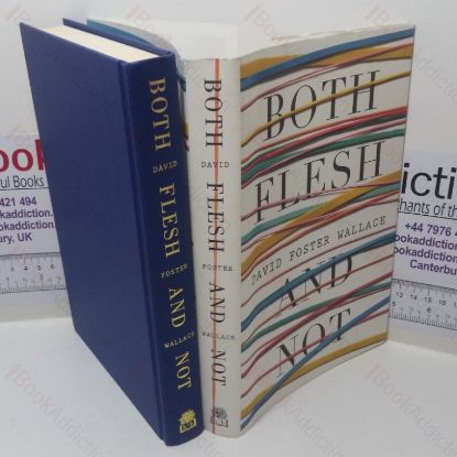 Picture of Both Flesh and Not: Essays