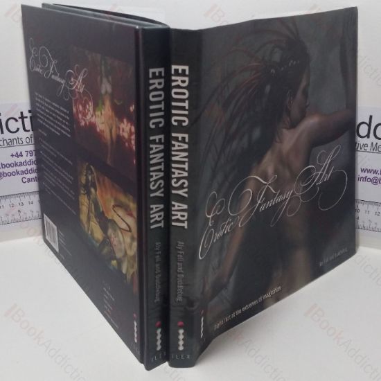 Picture of Erotic Fantasy Art: Digital Art at the Extremes of Imagination