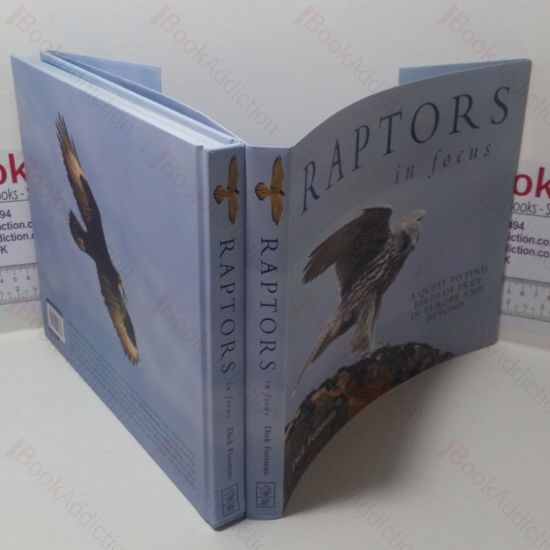 Picture of Raptors in Focus