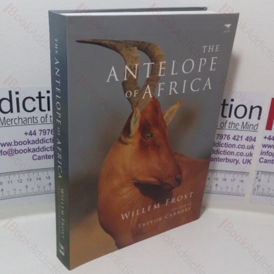 Picture of The Antelope of Africa