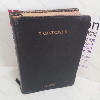 Picture of Y Caniedydd [The Singer]