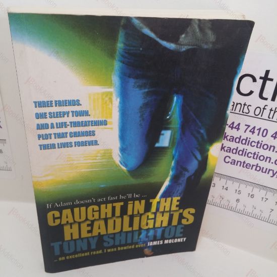 Picture of Caught in the Headlights