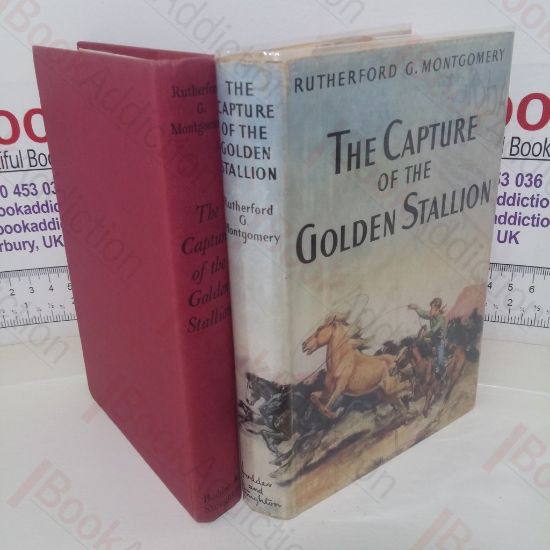 Picture of The Capture of the Golden Stallion