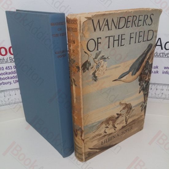 Picture of Wanderers of the Field