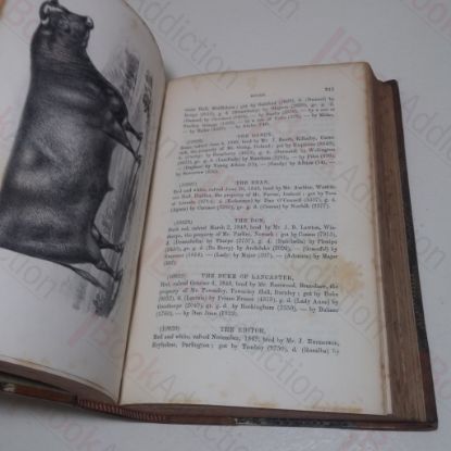 Picture of Coates's Herd Book: Containing The Pedigrees of Improved Short-Horned Cattle (Volume IX)