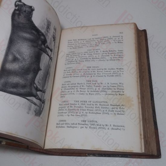 Picture of Coates's Herd Book: Containing The Pedigrees of Improved Short-Horned Cattle (Volume IX)