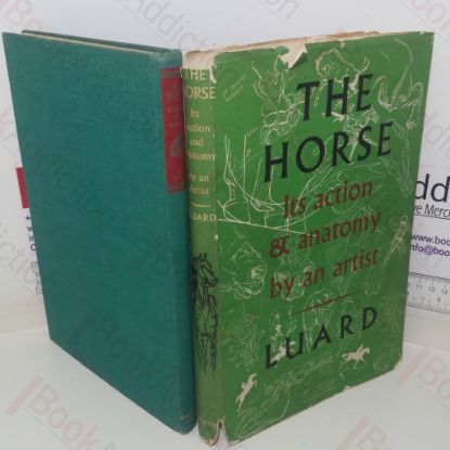 Picture of The Horse: Its Action and Anatomy by an Artist