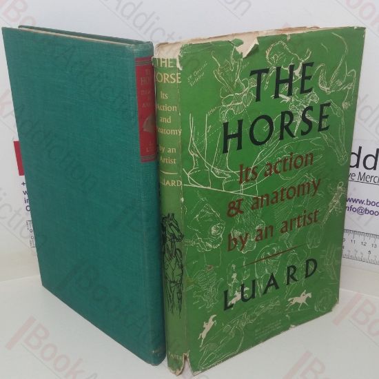 Picture of The Horse: Its Action and Anatomy by an Artist