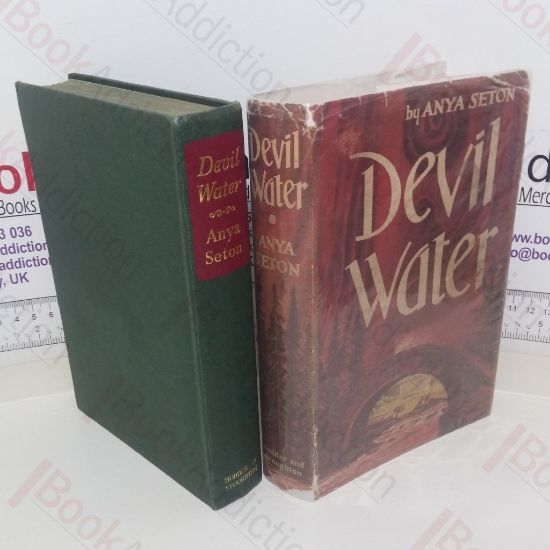 Picture of Devil Water