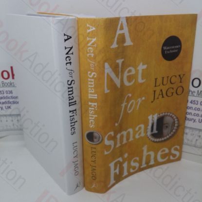 Picture of A Net for Small Fishes