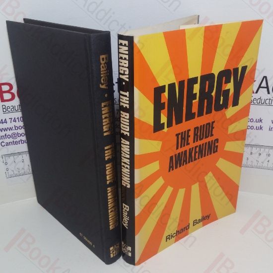 Picture of Energy : The Rude Awakening