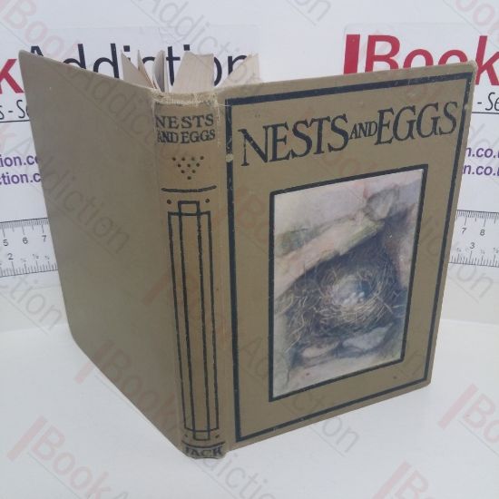 Picture of Nests and Eggs: The Shown Series