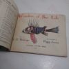 Picture of Wonders of Sea Life