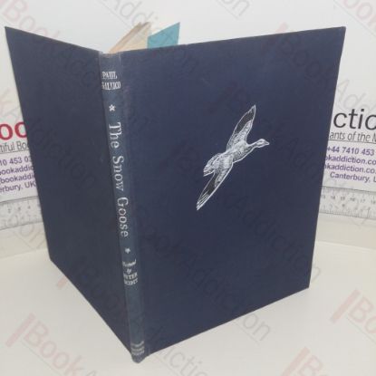 Picture of The Snow Goose