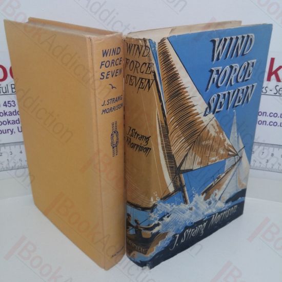 Picture of Wind Force Seven