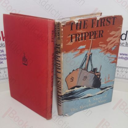 Picture of The First Tripper