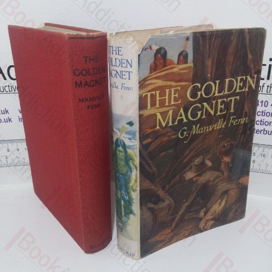 Picture of The Golden Magnet