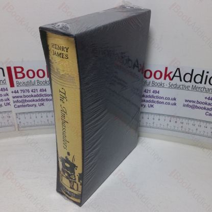 Picture of The Ambassadors