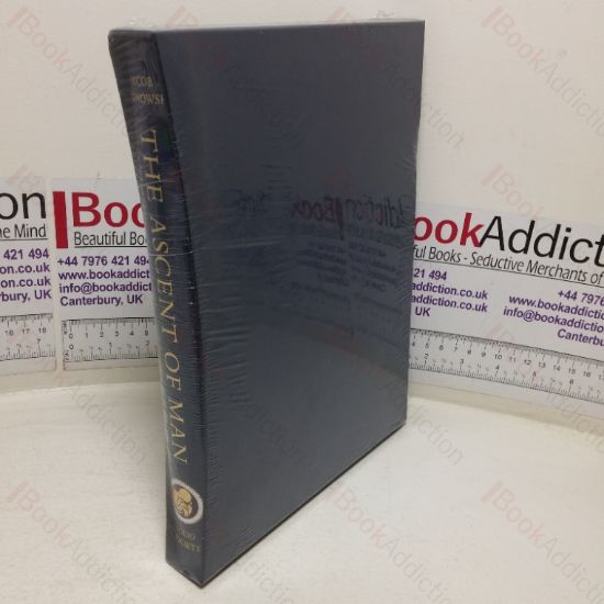 Picture of The Ascent of Man