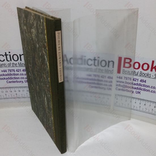 Picture of These Things Also are Springs