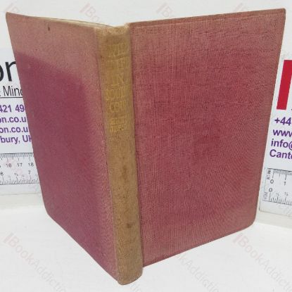 Picture of Wild Life in a Southern County