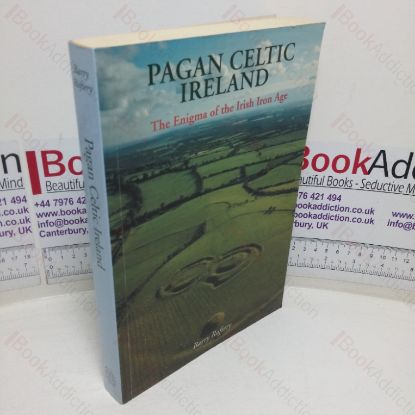 Picture of Pagan Celtic Ireland: The Enigma of the Irish Iron Age