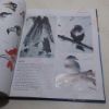 Picture of Chinese Brush Painting : A Beginner's Art Guide