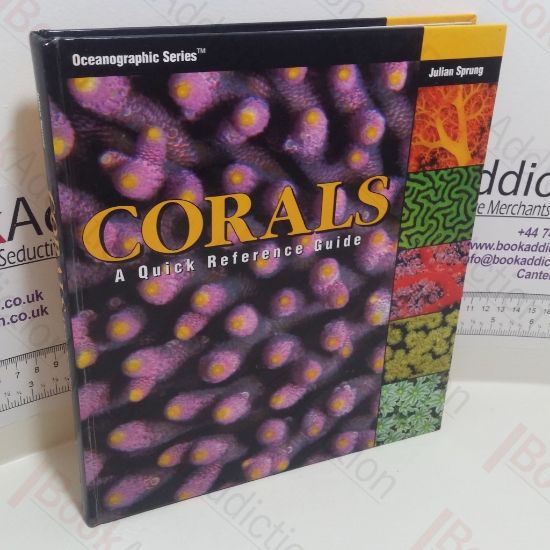 Picture of Corals : A Quick Reference Guide (Oceanographic Series)