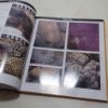 Picture of Corals : A Quick Reference Guide (Oceanographic Series)