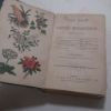 Picture of Beeton's Book of Garden Management, Comprising Information on Laying-Out and Planting Gardens, Fruit, Flowers and Kitchen Garden Management, Building, Arranging and Management of Greenhouses, and Other Garden Structures, Window Gardenings, Spade, Husbandry and Allotment Cultivation