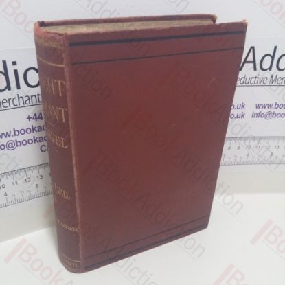 Picture of Knight-Errant: A Novel