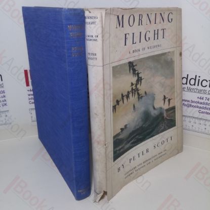 Picture of Morning Flight: A Book of Wildfowl