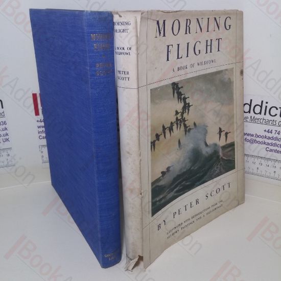 Picture of Morning Flight: A Book of Wildfowl