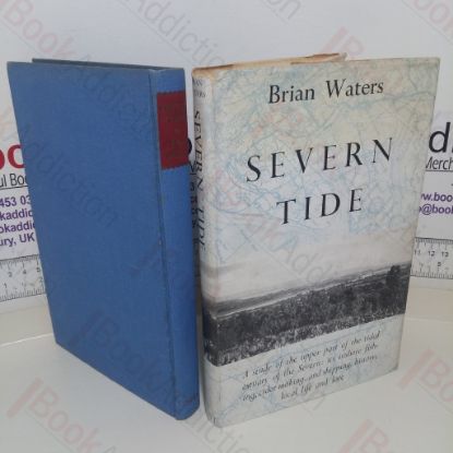 Picture of Severn Tide