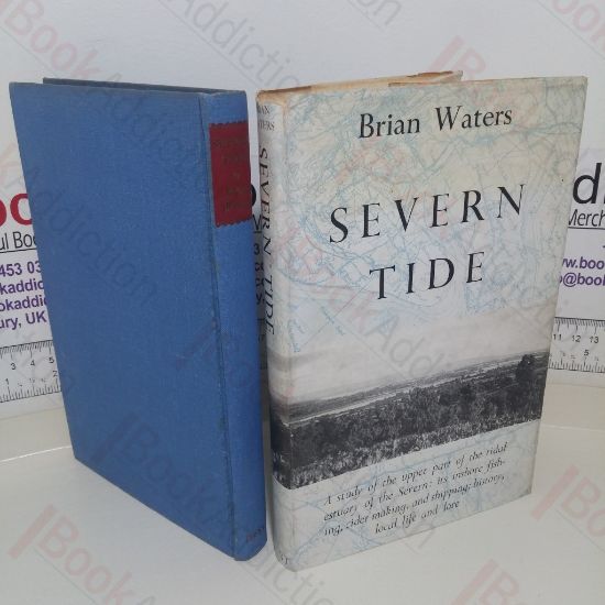 Picture of Severn Tide