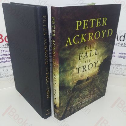 Picture of The Fall of Troy: A Novel