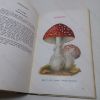Picture of Edible and Poisonous Fungi (Ministry of Agriculture & Fisheries Bulletin, No. 23)