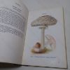 Picture of Edible and Poisonous Fungi (Ministry of Agriculture & Fisheries Bulletin, No. 23)