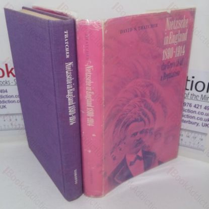 Picture of Neitzsche in England, 1890-1914: The Growth of a Republic
