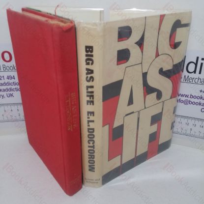 Picture of Big as Life