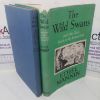 Picture of The Wild Swans and Other Tales based on the Ancient Irish