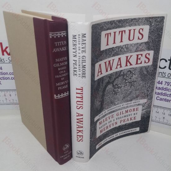 Picture of Titus Awakes (The Lost Book of Gormenghast)