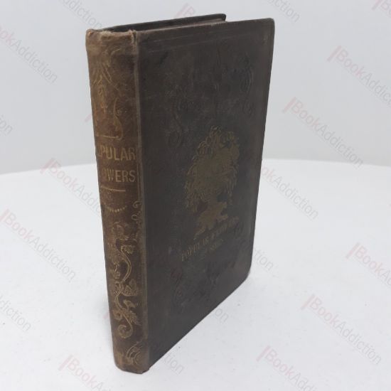 Picture of Popular Flowers : Their Propagation, Cultivation, and General Treatment in all Seasons with List of Choice and Favourite Varieties (Second Series)