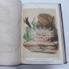 Picture of A Manual of the Sea-Anemones Commonly Found on the English Coast